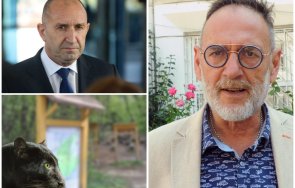 любен дилов разби вотът недоверие целеше отклони вниманието шуменската пантера радев