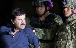 един синовете чапо признае виновен трафик наркотици