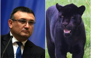 сряда бившият мвр министър младен маринов избяга парламентарните дрязги неочаквано намери снимки