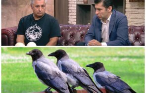 татко петко плаши гаргите