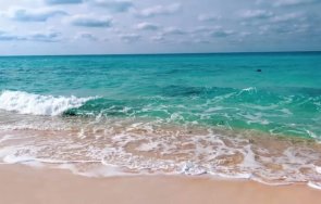 следващата седмица в travellove кози дърветата пумата чудо пипи релси снимки