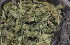 задържаха 350 килограма марихуана сливен