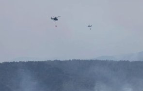 тревога ситуацията пожара пирин остава сложна