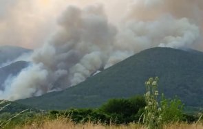 дългоочакваният дъжд пирин заваля