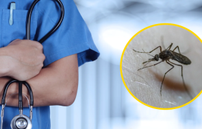 внимание нилска треска софия