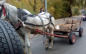 един ранен катастрофа село варвара варварски минерални бани