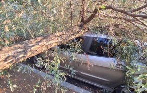 дърво падна кола столичен квартал блокира движението