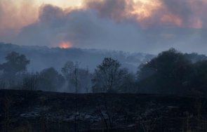 голям пожар гори района сакар планина снимки