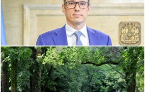цялата работа такава пак лъсна чудовищната некадърност терзиев парк врана умира кметът нехае