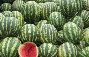 спор дини село пловдив завърши масов бой погром