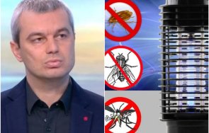 цирк касиерка пита костадинов трепе депутати обнадежден дал визитка