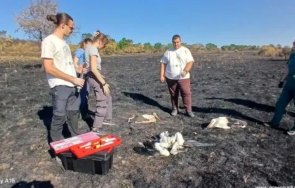 пожара сакар откриха мъртви щъркела костенурки