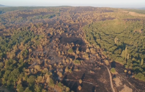 локализираха огнения средец изпепелени 9000 декара