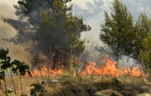големи пожари бушуват черна гора