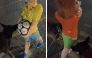 скандално видео агресия кучета костинброд видео