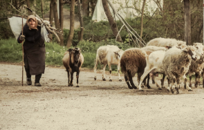 издирват баба кръстана изчезнала средна гора