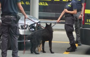 скрита сред булчински рокли заловиха българин трафик голямо количество марихуана италия видео