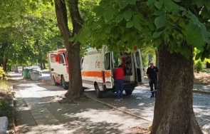 сакатлък голям клон цапардоса главата пешеходец пловдив