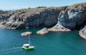 заснеха изчезнал морски бозайник приморско снимка