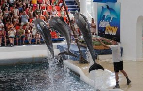 делфинариум варна подарява безплатен билет децата случай първия учебен ден