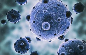 1500 години откриха причинителя първата пандемия