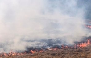 пожар вилня чипровци погълна няколко вили