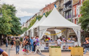 започва есенната алея книга софия