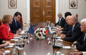 радев уплашен политическото битие извади четките нато призна представителите алианса