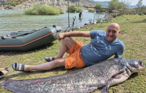 извадиха килограмов сом водите язовир кърджали