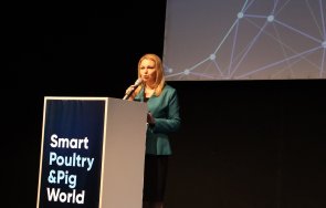 заместник министър василева продължим подкрепяме птицевъдството свиневъдството българия