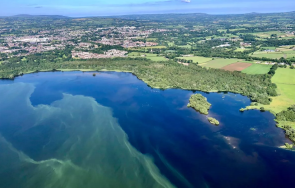 нашествие водорасли убива голямото езеро великобритания
