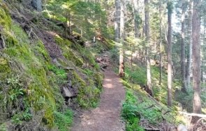 пожарникари спасиха туристка софия паднала бурна река гората борино