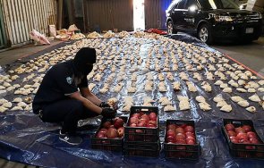 ливан разби международна мрежа трафик наркотици