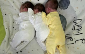 вяра надежда любов тризнаци родиха първите минути септември