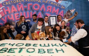 българия влезе книгата гинес голямата кучешка торта света