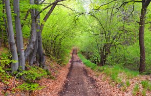 семейство варна изгуби гора крумовград полицията откри часове