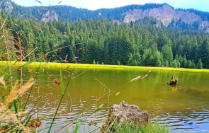 студ скова родопите градуса измериха чепеларе