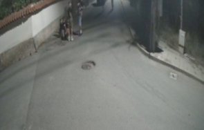 безобразие деца опасна игра благоевград хвърлят пиратки дворове