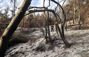 огромни щетите пожара асеновград