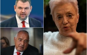 диана дамянова охлади мераците ппдб конфликт борисов пеевски