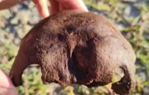 човешки кости откриха плевенското село байкал тече разследване снимки