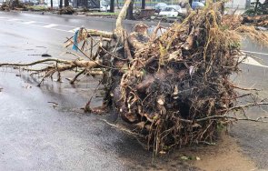 калкулатор бедата щетите царево млн лева снимки