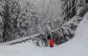 заради падналия сняг села община берковица без ток снимки