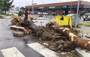 калкулатор бедата щетите царево млн лева снимки