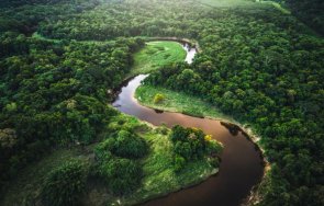 въглеродният диоксид увеличава обема джунглата амазония