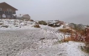 честит първи сняг побеля видео