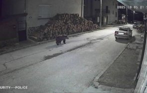 мечка дебне община доспат снимка