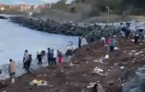 разби отнесеният пороя морето сейф царево пощуряха ловят столевки