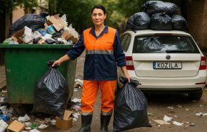 мрежата гърми белобрадова после мястото сред боклука кукувица малоумно