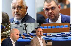 политолог всички партийни комсомолци виждат перспективата делян пеевски спечели избори